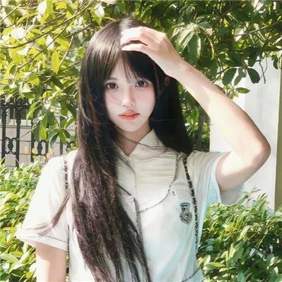 鸟是海与树的孩子
